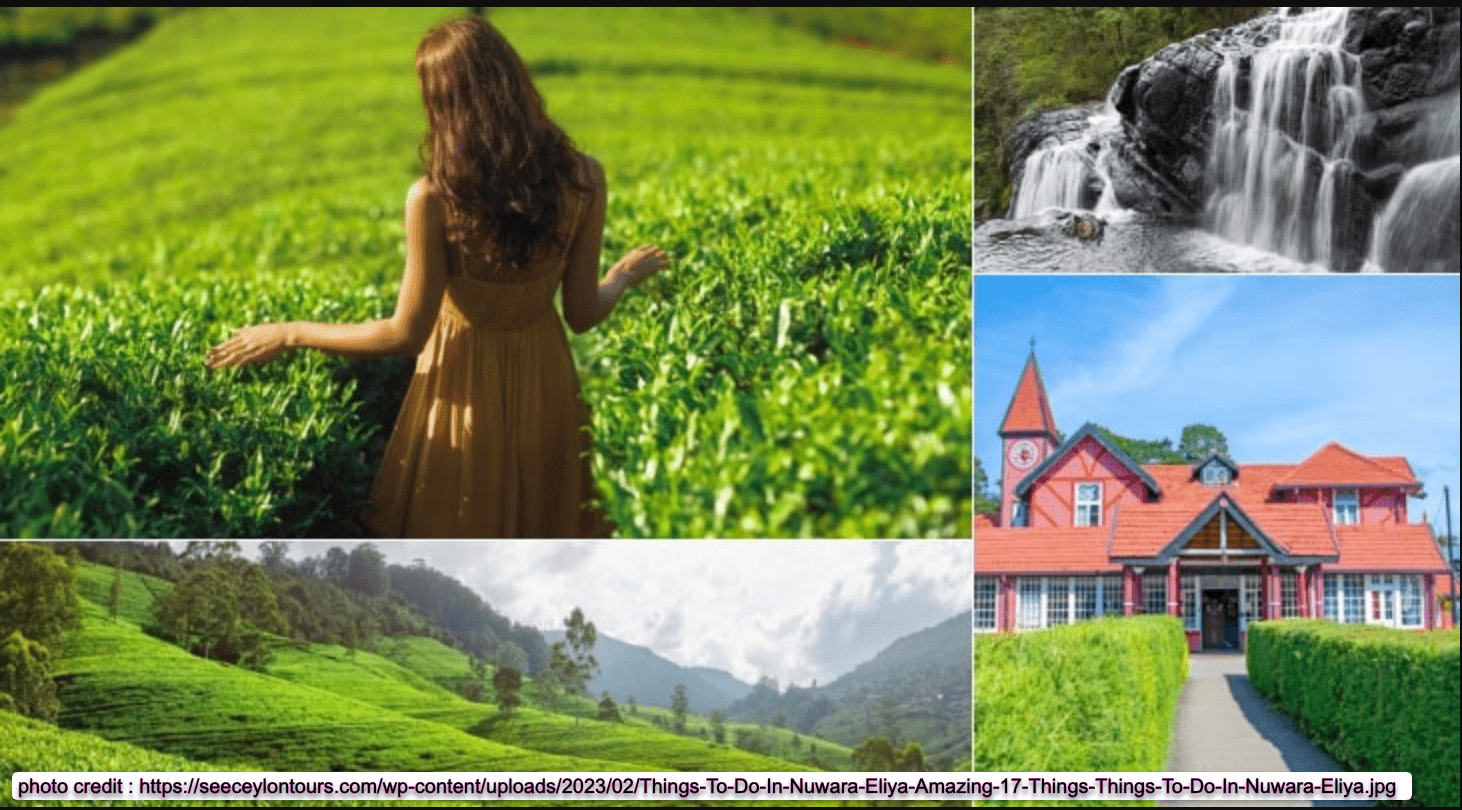 Nuwara-Eliya