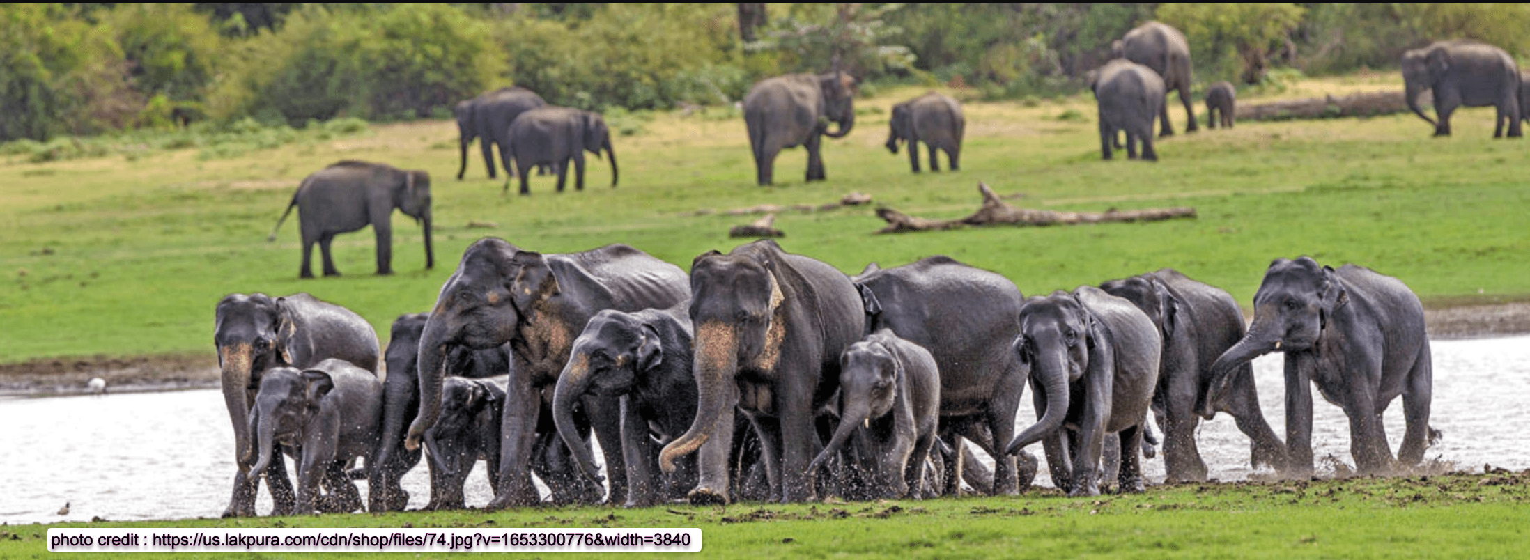 Udawalawa National Park